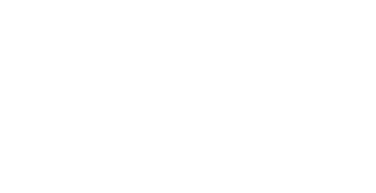 Digivikings_logo